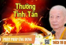 Thường Tinh Tấn – Thích Trí Quảng thuong tinh tan thich tri quang