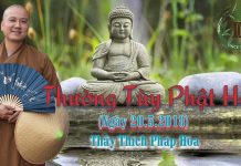 Thường Tùy Phật Học – Thích Pháp Hòa thuong tuy phat hoc thich phap h