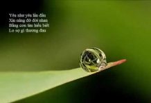 Thương Yêu Như Thế Nào Để Đem Lại Hạnh Phúc Cho Nhau – Thích Minh Niệm thuong yeu nhu the nao de dem la