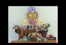 Thuyết Pháp Độ Sanh Của Ngài Quán Thế Âm – Thích Nhật Hỷ thuyet phap do sanh cua ngai qua