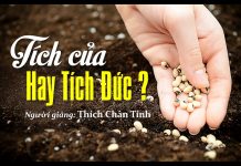 Tích Của Hay Tích Đức – Thích Chân Tính tich cua hay tich duc thich chan 1