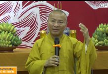 Tiêu thụ chánh niệm để bảo vệ môi trường – Thích Nhật Từ – 05-06-2016 tieu thu chanh niem de bao ve mo