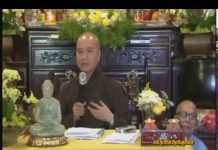 Tiểu Thừa Đại Thừa 1 (vấn đáp) – Thích Pháp Hòa tieu thua dai thua 1 van dap thi