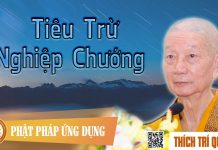Tiêu Trừ Nghiệp Chướng – Thích Trí Quảng tieu tru nghiep chuong thich tri
