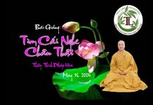 Tìm Cái Nghe Chân Thật – Thích Pháp Hòa tim cai nghe chan that thich pha