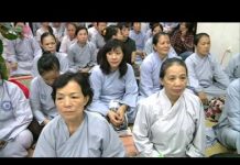 Tìm Hạnh Phúc Nơi Đâu – Thích Thiện Thuận tim hanh phuc noi dau thich thie