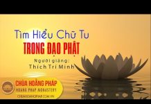 Tìm Hiểu Chữ Tu Trong Đạo Phật – Thích Trí Minh tim hieu chu tu trong dao phat t