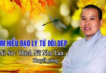 Tìm Hiểu Đạo Lý Từ Đôi Dép – Thích Nữ Như Lan tim hieu dao ly tu doi dep thich