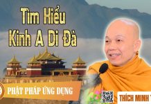 Tìm Hiểu Kinh A Di Đà (KT64) – Thượng tọa Thích Minh Thành tim hieu kinh a di da kt64 thuon