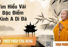 Tìm Hiểu Vài Đặc Điểm Kinh A Di Đà – Thích Phước Tiến tim hieu vai dac diem kinh a di