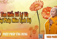 Tìm Hiểu Về Lý Và Sự Pháp Môn Tịnh Độ – Thích Phước Tiến tim hieu ve ly va su phap mon ti