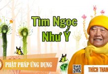Tìm Ngọc Như Ý – Thích Thanh Từ tim ngoc nhu y thich thanh tu