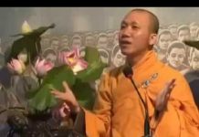 Tìm Nguyên Nhân Chính Yếu – Thích Minh Thành tim nguyen nhan chinh yeu thich