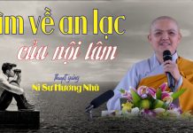 Tìm về An Lạc Của Nội Tâm – Thích Nữ Hương Nhũ tim ve an lac cua noi tam thich