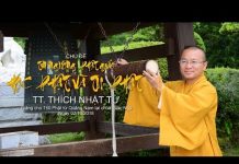 Tín Ngưỡng Phật Giáo – Học Phật Và Tu Phật – Thích Nhật Từ tin nguong phat giao hoc phat va
