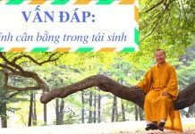 Tính cân bằng trong tái sinh – Thích Nhật Từ tinh can bang trong tai sinh thi