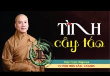 Tình Cây Táo – Thích Pháp Hòa tinh cay tao thich phap hoa