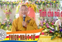 Tình cha núi cả – Thích Nhật Từ – 20/06/2005 tinh cha nui ca thich nhat tu 20