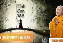 Tỉnh Cơn Mê – Thích Phước Tiến tinh con me thich phuoc tien