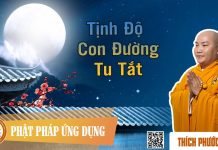 Tịnh Độ Con Đường Tu Tắt – Thích Phước Tiến tinh do con duong tu tat thich p