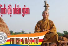 Tịnh độ nhân gian – Thích Nhật Từ tinh do nhan gian thich nhat tu 1