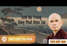 Tịnh Độ Trong Giây Phút Hiện Tại – Thích Nhất Hạnh tinh do trong giay phut hien tai