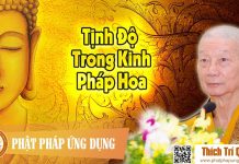 Tịnh Độ Trong Kinh Pháp Hoa – Thích Trí Quảng 2016 tinh do trong kinh phap hoa thic