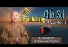 Tỉnh Lặng Chiếu Soi (Vấn Đáp) – Thích Pháp Hòa tinh lang chieu soi van dap thic