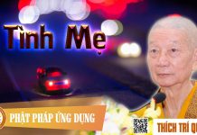 Tình Mẹ – Thích Trí Quảng tinh me thich tri quang