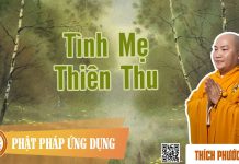 Tình Mẹ Thiên Thu – Thích Phước Tiến tinh me thien thu thich phuoc ti