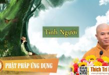 Tình Người (KT79) – Thích Trí Minh tinh nguoi kt79 thich tri minh