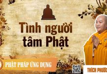 Tình Người Tâm Phật – Thích Phước Tiến tinh nguoi tam phat thich phuoc