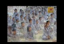 Tình Người – Thích Viên Trí tinh nguoi thich vien tri