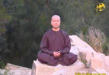 Tịnh Nguyện Tịnh Độ 2 – Thích Pháp Hòa tinh nguyen tinh do 2 thich phap