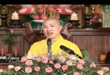 Tình Pháp Lữ – Thích Thiện Thuận tinh phap lu thich thien thuan
