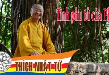 Tình phụ tử của Phật – Thích Nhật Từ – 19/06/2005 tinh phu tu cua phat thich nhat