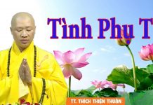 Tình Phụ Tử – Thích Thiện Thuận tinh phu tu thich thien thuan