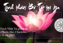 Tinh thần Bồ Tát tại gia (11-08-2007) – Thích Nhật Từ tinh than bo tat tai gia 11 08 2