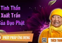 Tinh Thần Xuất Trần Của Đạo Phật – Thích Thanh Từ tinh than xuat tran cua dao phat