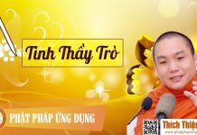 Tình Thầy Trò (KT77) – Thích Thiện Minh tinh thay tro kt77 thich thien m