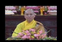 Tình Thương Cao Cả – Thích Chân Tính tinh thuong cao ca thich chan ti