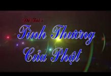 Tình Thương Của Phật – Thích Thiện Tuệ tinh thuong cua phat thich thien