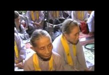 Tình Thương Và Hạnh Phúc – Thích Tuệ Hải tinh thuong va hanh phuc thich t