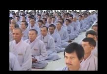 Tịnh Tọa Tịnh Khẩu – Thích Chân Tính tinh toa tinh khau thich chan ti