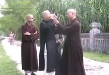 Tình Trong Ráng Hoàng Hôn – Thích Thái Hòa tinh trong rang hoang hon thich