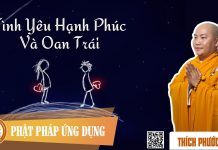 Tình Yêu Hạnh Phúc Và Oan Trái (Love, Happiness and Adversity) – Thích Phước Tiến tinh yeu hanh phuc va oan trai l