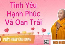 Tình Yêu Hạnh Phúc Và Oan Trái – Thích Phước Tiến tinh yeu hanh phuc va oan trai t