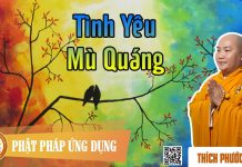 Tình Yêu Mù Quáng (KT22) – Thích Phước Tiến tinh yeu mu quang kt22 thich phu