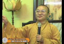 Tình yêu và sự nghiệp – Thích Nhật Từ tinh yeu va su nghiep thich nhat