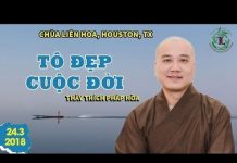 Tô Đẹp Cuộc Đời – Thích Pháp Hòa to dep cuoc doi thich phap hoa